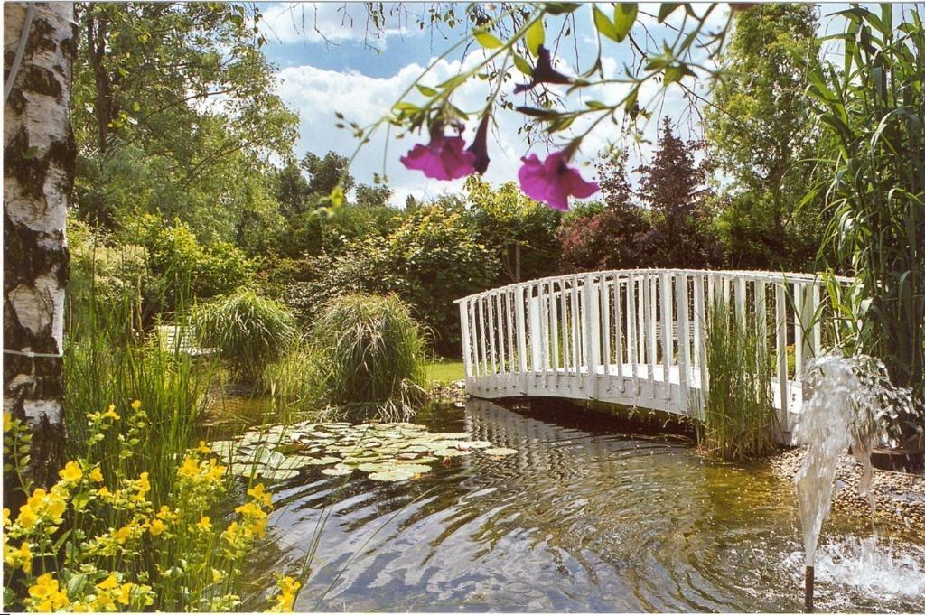 Beauty-Vital-Residenz Helga Dolezal Neusiedl am See Buitenkant foto